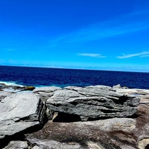 Meet your Posher, Mia